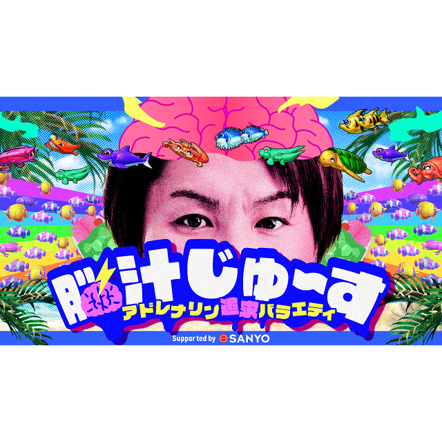 新仮装大賞パネル TAKARA・未使用品・早い者勝ち❗️ Amazon.co.jp: タカラトミー(TAKARA TOMY) パネル 新!仮装大賞